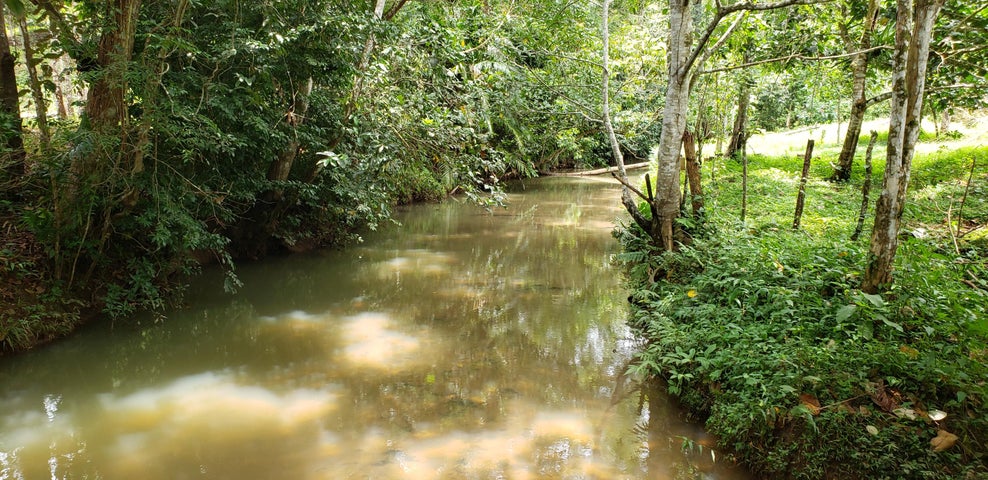 Land for Sale in Panama City Panamá Province 07019